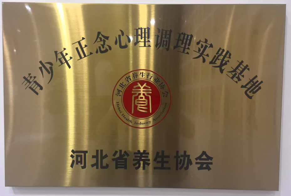 心理实践